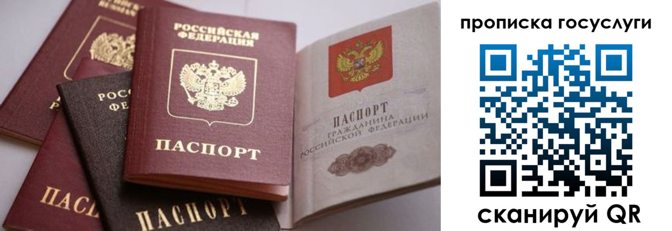 прописка иностранных граждан в Железногорске